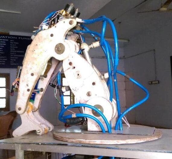 Multi-Purpose Robo Arm