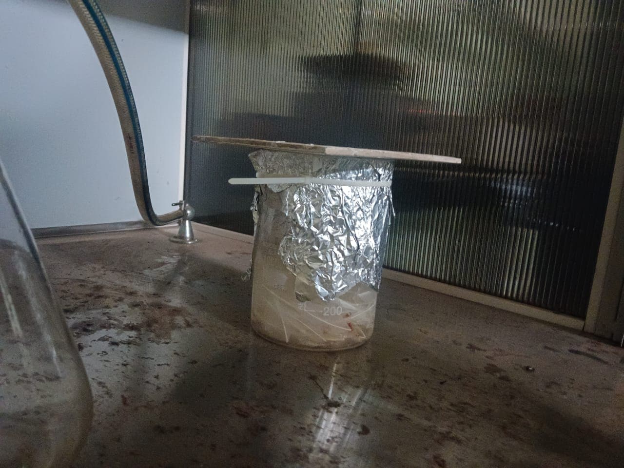 Multi Functional Eco-Friendly Fertilizer